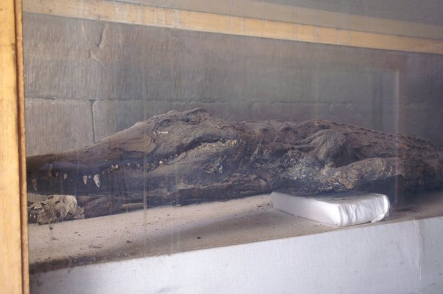 2007_egypttrip045